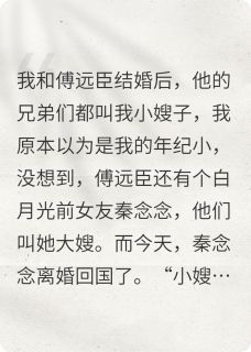 白月光带孩子上门，我放手了章节全目录 傅远臣小蔡秦念念全文免费阅读-暗夜阅读网