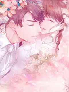 抖音爆款蚀骨情深：傅总的逃婚新娘傅朝安夏梦无广告阅读