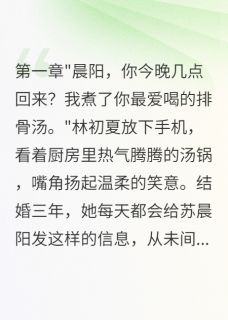离婚当天前夫才知道我有千万遗产小说(完整版)-苏晨阳林初夏周雅琴章节阅读