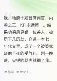 爆款小说我，地府判官，在年代文里搞KPI在线阅读-宋卫民宋兰赵桂花免费阅读