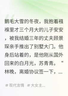 追妻火葬场，但男主换人了(新书)小说_安安沈言顾景琛阅读