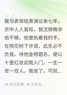 表哥纳妾那天，我嫁给了他的政敌裴衍陆景渊徐婉儿无广告在线阅读