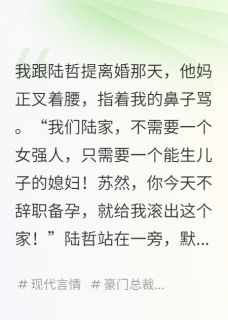 离婚后，我成了前夫的小婶婶!陆慎陆哲免费阅读-离婚后，我成了前夫的小婶婶!见字如官小说