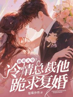 曼珠沙华写的小说新欢入室？冷情总裁他跪求复婚沈意陆聿深全文阅读