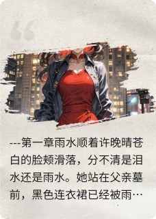 许晚晴林美玲张睿章节免费阅读