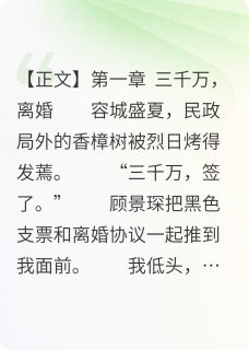 抖音爆款离婚后我怀崽，他跪暴雨唱告白顾景琛江砚洲沈星澜无广告阅读-暗夜阅读网