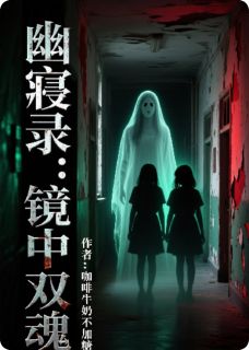 精彩小说林小诺张明远幽寝录：镜中双魂全文目录畅读