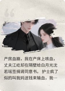 书荒必备陆则衍江屹沈若瑶小说-暗夜阅读网