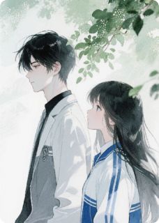 双生夏夜晚风来小说的书名是什么