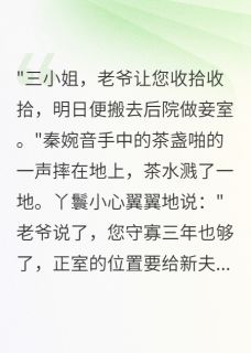 秦婉音沈慕言顾云深小说白月光守寡后，夫君要我做妾室全文阅读