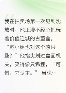 全本资源在线阅读枕边宿敌苏晚沈放