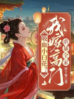 江元音齐司延小说吸血小白花？我嫁高门虐暴全家完整章节