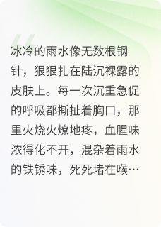 精彩小说陆沉苏晚钱买不到的顶楼邻居全文目录畅读