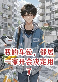我的车位，邻居一家开会决定用了(李彩凤王建刚王倩)小说全章节目录阅读