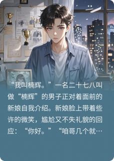 (精品)你好，我叫楠辉小说