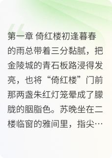 晚彻苏晚沈彻林坤全章节完结版在线阅读