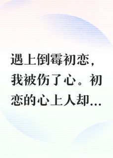 快手沈先生终抱得美人归小说全本章节大结局