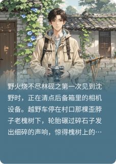 主角沈野林砚之小说，城里的小少爷你别跑免费阅读全文