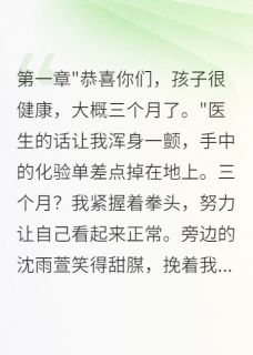 喵喵不吃番茄的小说老婆出轨怀孕，孩子竟然是我的主角是沈雨萱林昊天李淑华