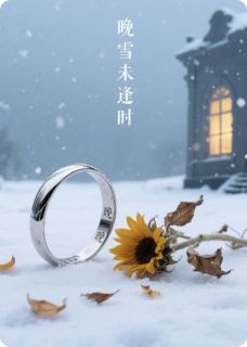 私藏读物晚雪未逢时陆时衍苏晚完结版免费阅读