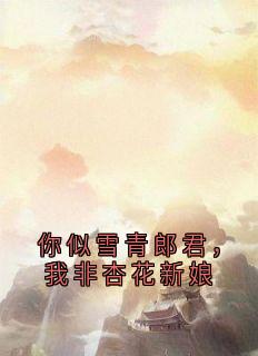 清婉萧衡小说<你似雪青郎君， 我非杏花新娘>全文在线阅读