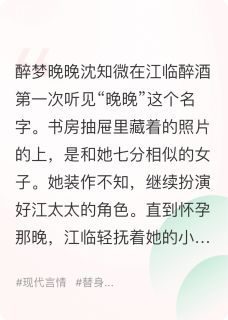 抖音爆款小说最后一封信寄到你的心上江临沈知微免费txt全文阅读