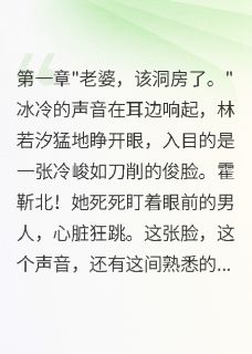 抖音小说林若汐霍靳北苏晨林若汐霍靳北苏晨无弹窗试读