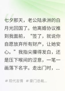 最新小说离婚当天，我和他兄弟闪婚了主角陆衍陆承洲全文在线阅读