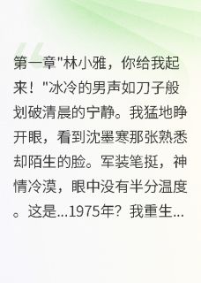 书荒推荐七零重生：首长老公哭着求我回家(沈墨寒林小)在线试读