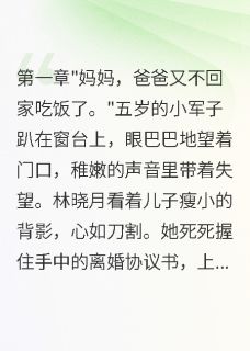 首长冷淡三年后，我带双胞胎离婚林晓月小军子陈国强-八方来财来财财财小说
