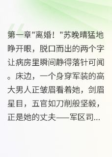 重生七零，带崽离婚后首长后悔了苏晚晴陆寒川-小说txt全文阅读