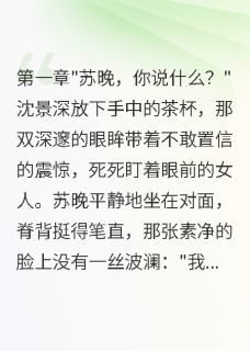 精彩小说苏晚沈景深重生七零带崽离婚首长后悔三年全文目录畅读
