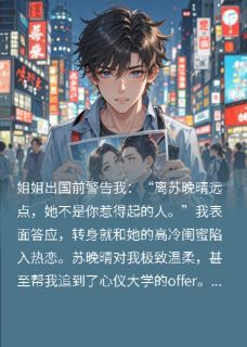 我的女友是姐姐闺蜜苏晚晴赵天成无广告在线阅读