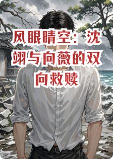 抖音完结风眼晴空：沈翊与向薇的双向救赎沈翊向薇(全文在线阅读)