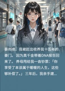 优质新书灼夜，破晓归晞最新章节小说全文阅读