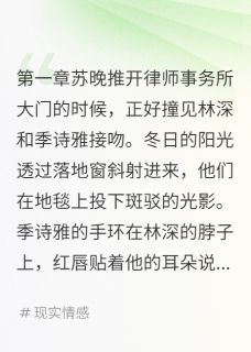 主角是林深苏晚季诗雅的小说老公失忆后爱上别人最完整版热门连载