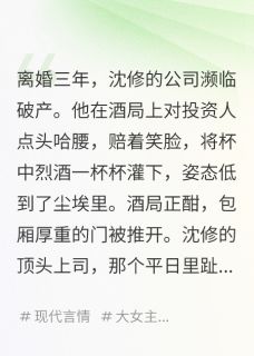 沈修姜董离婚后他求我给项目我让他去陪酒全文(沈修姜董)章节免费阅读