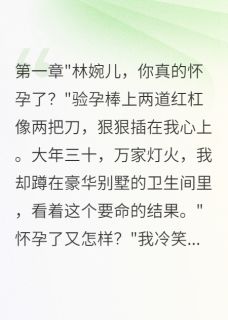 大年三十我果断打掉总裁的孩子最新章节免费阅读by哈密瓜的哈哈无广告小说