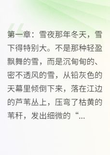 那年雪夜，我成了哥哥主角是陈默默儿陈光小说百度云全文完整版阅读