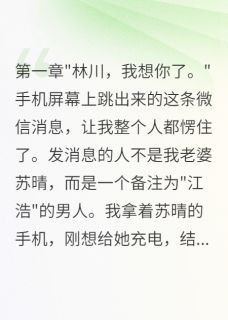 老婆转账五百万给前男友我要离婚小说好看吗 苏晴江浩最后结局如何
