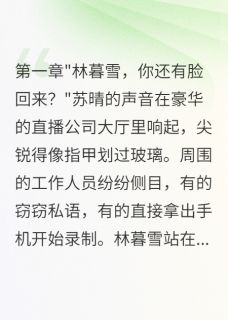 直播间里的复仇游戏林暮雪苏晴全本小说（直播间里的复仇游戏）全章节小说目录阅读