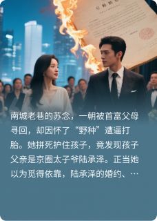 高质量小说浮城野雀在线试读