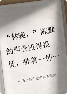 万渣丛中过半点不湿身by沈欢叶麟陈默在线阅读