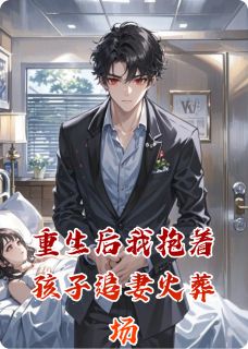 重生后我抱着孩子追妻火葬场by沈聿白苏晚在线阅读