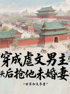 主角是江枫苏婉清的小说-穿成虐文男主死对头后抢他未婚妻完整章节阅读