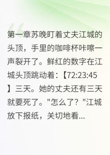 熬夜也要看完的我看见丈夫还有三天命小说推荐
