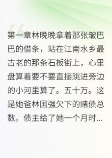 协议五年，他给我一个家是什么小说江湛林晚晚全本免费阅读