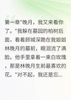 当我撞见男友给姐姐扫墓晚星顾城深宋楠小说全文阅读