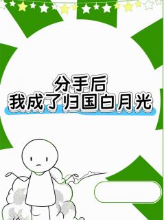 分手后，我成了归国白月光小说(连载文)-陆恒林婉无广告阅读