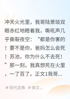 哥，这辈子我不回家了(陆景琰薇薇姜超)小说全章节目录阅读